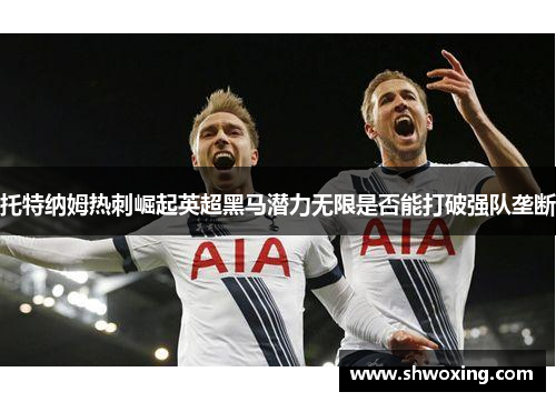 托特纳姆热刺崛起英超黑马潜力无限是否能打破强队垄断