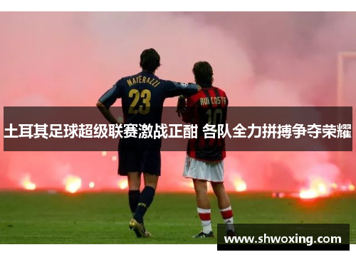 土耳其足球超级联赛激战正酣 各队全力拼搏争夺荣耀