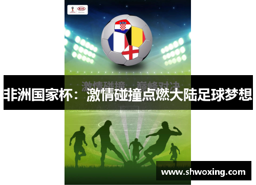 非洲国家杯：激情碰撞点燃大陆足球梦想