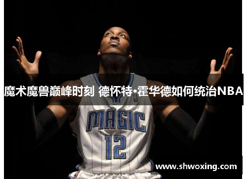 魔术魔兽巅峰时刻 德怀特·霍华德如何统治NBA